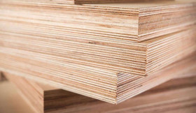 Pallet Gỗ Ép Có Cần Hun Trùng Không?