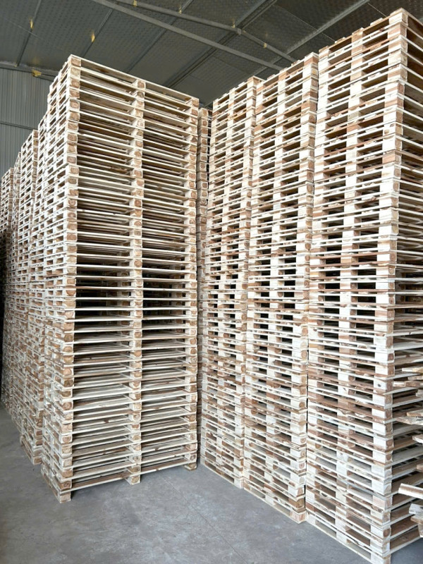 Kho chứa pallet gỗ