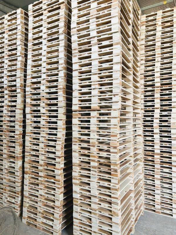 Kho chứa pallet gỗ