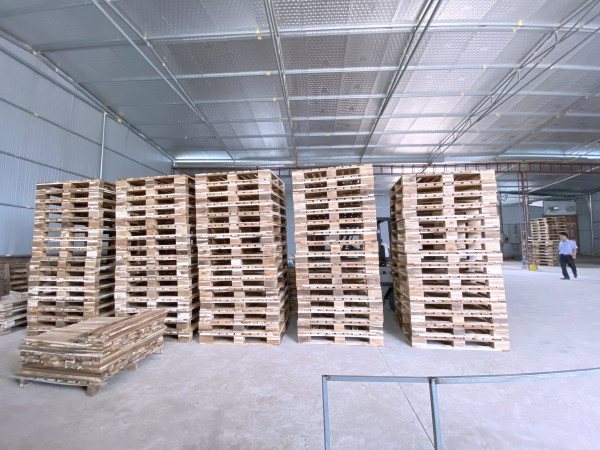 Kho chứa pallet gỗ