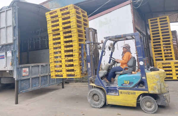 Xếp pallet gỗ lên xe tải