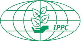 IPPC Pallet